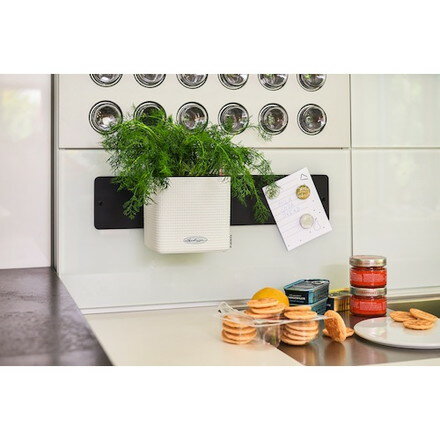 ����塼�� �ץ�󥿡��ɼ����ѥޥ��ͥåȥեå� ���塼�֥��顼14 geobra�� ������� �в����� �ץ�󥿡�(����Բ�)