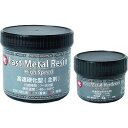  d^y[Xg Fast Metal Paste 1161(s)yz