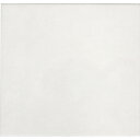 育良 RG25X4/5X4用内側保護プレート(42319) INP08 工事 照明用品 溶接用品 溶接面(代引不可)