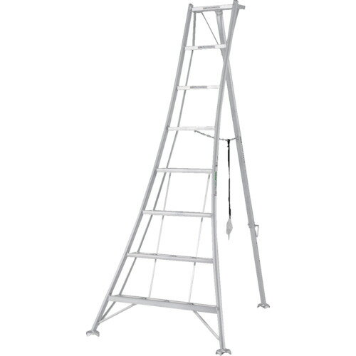 4t-8357813.jpg