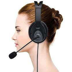 SANWA USBヘッドセット MMHSUSB17BK オフィス 住設用品 OA用品 周辺機器(代引不可)【送料無料】