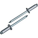 エビ ブラインドリベット(アルミニウム/スティール製) 5-5(50本入) エコパック NSA55MP(代引不可)