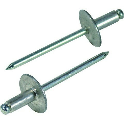 エビ ブラインドリベット(ラージフランジ) アルミニウム/スティール製 6-16(8本入) エコパック NSA616L..