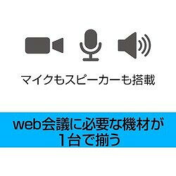ソースネクスト Meeting Owl 3(ミーティングオウル 3) MTW300 337230 オフィス 住設用品 OA用品 周辺機器(代引不可)【送料無料】