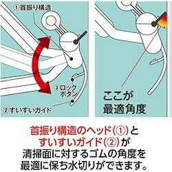 �ƥ��� EF�ե�å����磻�ѡ� ���ڥ� 36cm CL7472200 ���� �������� �������� ������(����Բ�)