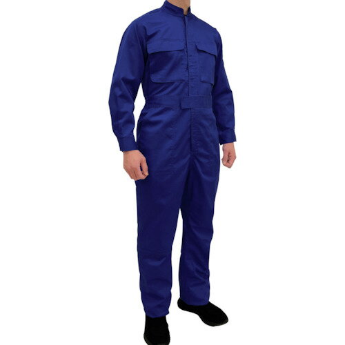 TEAGLES �ʺ��ĥʥ� �֥롼 L �ȡ��ޥ��� �ݸ�� ����� �Ĥʤ��� 3120(����Բ�)������̵����