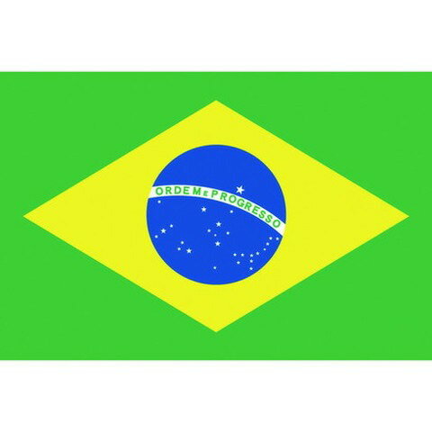 東京製旗 国旗No.1(70×105cm) ブラジル 416646(代引不可)【送料無料】