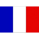 東京製旗 国旗No.2(90×135cm) フランス 426647(代引不可)【送料無料】
