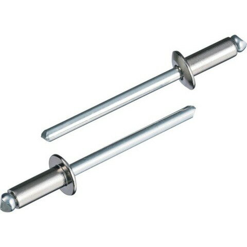 エビ ブラインドリベット(丸頭) ステンレス/スティール製 5-5(1000本入) LSS55(代引不可)【送料無料】