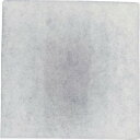 TRUSCO トラスコ カットフィルター 300×300mm (10枚入) TL3030S(代引不可)