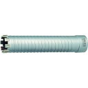 ユニカ UR21 乾式ダイヤ25mm ボディ(替刃)ノミ(UR-Sシャンク対応) UR21D025B(代引不可)【送料無料】