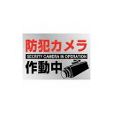 緑十字 イラストステッカー標識 防犯カメラ作動中 貼-133 150×220mm 2枚組 PET 47133 標識・標示 安全標識(代引不可)