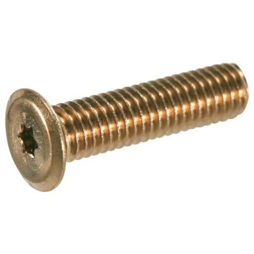 TRUSCO ヘックスローブ超極低頭ネジ ステンレス ライトブロンズ M6×20 10本入 B1870620 金物 建築資材 金物 建築資材 ねじ ボルト ナット いたずら防止ねじ(代引不可)