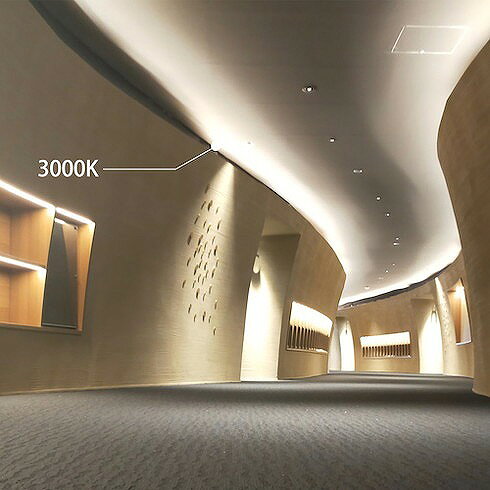 トライト LEDテープライト Viewdi Plus DC24V 16.6mmP 5000K 3m巻 トライト TLVD50...