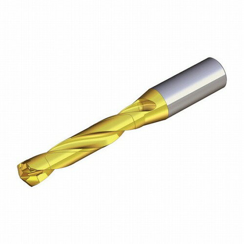 テグテック ドリルラッシュ:ホルダー テグテック TCD12012416S05D 切削工具 旋削 フライス加工工具 刃先交換式ドリル(代引不可)【送料無料】
