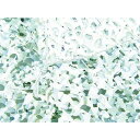 CAMO スペシャリスト レギュラーXミリタリー デジタルスノウ 1.8mX6m CAMO SRM1.8X6DS 梱包用品 シート ロープ 防護ネット(代引不可...