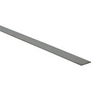 TRUSCO ステンレス フラットバー 厚ミ2×10×1000mm SUS304 TRUSCO SH2X101000 金物 建築資材 建築資材 金属素材(代引不...