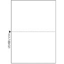 ヒサゴ 2023年9月発売予定 FSC(R)認証マルチプリンタ帳票 複写タイプ A4 ノーカーボン 白紙2面 ヒサゴ FSCF2002 オフィス 住設用品 文房具 帳票 封筒(代引不可)
