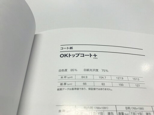 (業務用10セット)Nagatoya カラーペーパー/コピー用紙 【B4/最厚口 25枚】 両面印刷対応 若草