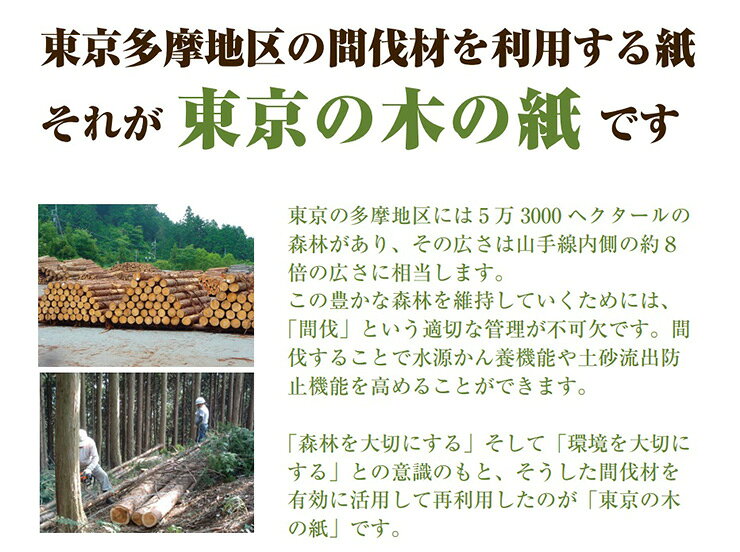コピー紙 再生コピー用紙 東京の木の紙 80g/m2 A4 45枚 エコ 古紙 温かみ 暖色 リサイクル パルプ 非加熱 無薬品 おしゃれ(代引不可)【送料無料】【メール便配送】