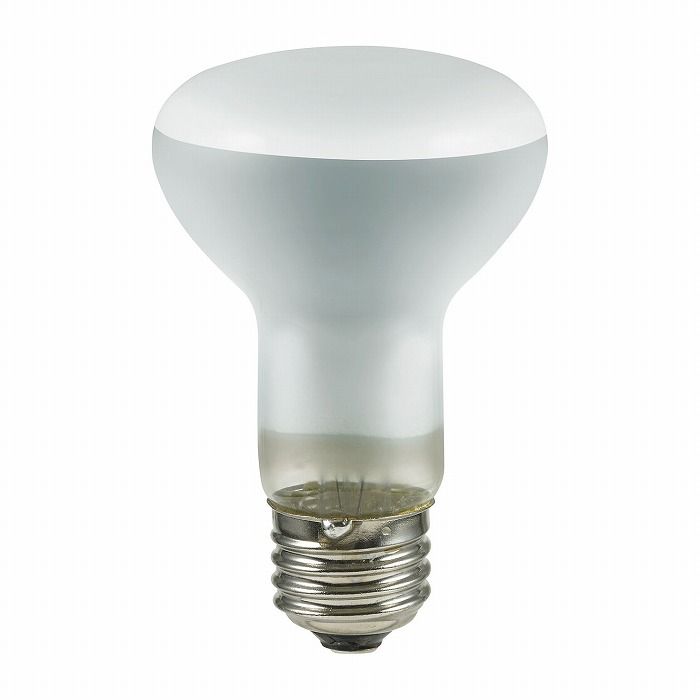 Ĺ��̿��ե��� ERF110V60W-L ����� ELPA ī���Ŵ�