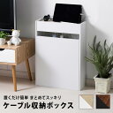 ルーター ケーブル収納ボックス ハイタイプ 収納 収納ケース ケーブル ルーター 配線 スリム コード コンセント 配線隠し【送料無料】