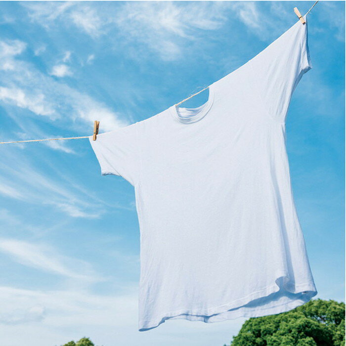 P&G アリエール液体洗剤セット PGCG-25E 日用品雑貨 文房具 手芸日用品 生活雑貨掃除用洗剤 洗濯用洗剤 柔軟剤 洗剤【送料無料】