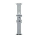 LEPLUS NEXT Apple Watch 42(Series 1,2,3)/44/45/46/49mm バンド CORVIN ベーシックシリコンバンド グレー LN-AW49B19GY