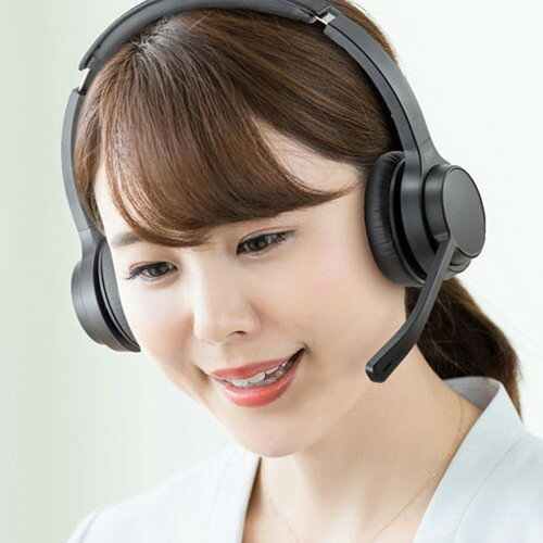 サンワサプライ Bluetoothヘッドセット 両耳タイプ・単一指向性 MM-BTSH62BK(代引不可)【送料無料】