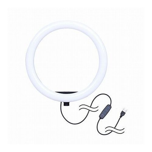 󥳡ȥʡ LED饤 ѥȻդ 10LED󥰥饤 뤵10ʳĴ ޥ۸ꥢ° ưۿVlog KL-03R...