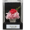A&K ローズゴールドピンク AKM-035 雑貨(代引不可)【送料無料】