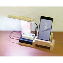 【5個セット】 ARTEC 木工プログラミングLEDライト ATC153029X5 雑貨(代引不可)【送料無料】