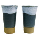 【5個セット】 白波一味ビールカップペアセット 22456105X5 雑貨(代引不可)