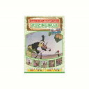 アリとキリギリス DVD CD DVD Blu-ray(代引不可)【メール便配送】【送料無料】