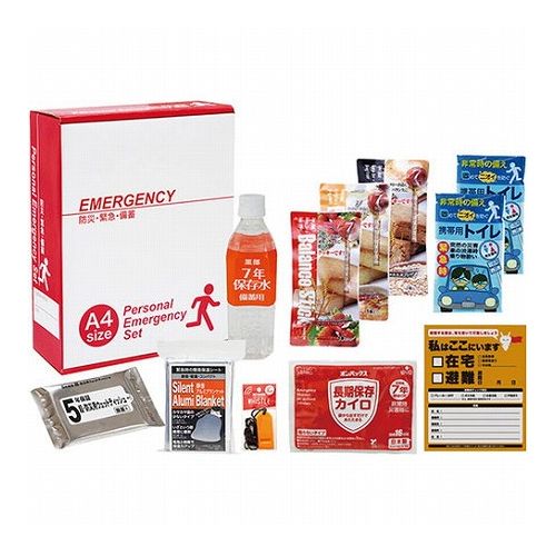 1DAY災害対策11点セット C6018558(代引不可)