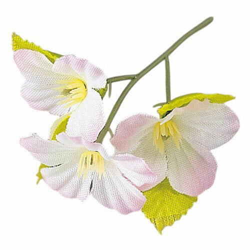 ޥ  ̳ ץե  (200) yamaco63851(Բ)̵