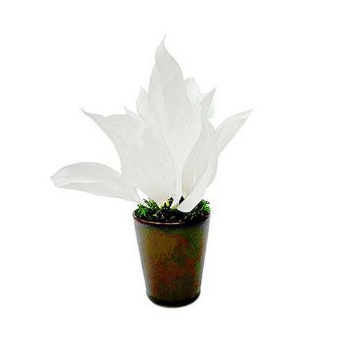 お手入れ不要の観葉植物プリザーブドグリーンなので本物の植物なのに水やり、お手入れ不要。日陰でもイキイキします。鉢の入れ替え、剪定も入りません。世話をする必要がありません!また、虫がわくこともなく、花粉もなく清潔なので食卓や病院などでもお使いいただけます。さらに、植物には癒し(リラックス)の効果があります。さまざまなシーンで良い影響を受けとることができます。インテリアとして、ご家庭・オフィス・レストラン・受付など、盆栽としても楽しめます。セット内容:プリザーブドグリーン、花器素材:プリザーブドグリーン保証期間:初期不良対応生産国:日本【送料について】北海道、沖縄、離島は送料を頂きます。