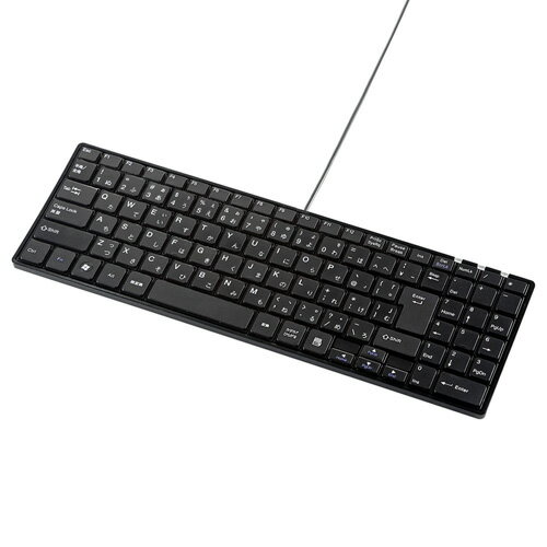 サンワサプライ USBスリムキーボード SKB-SL17BKN【送料無料】