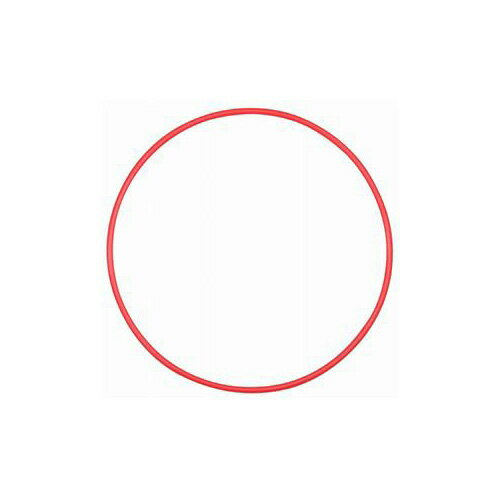 OLYMPUS PT-EP13用Oリング POL-EP13 POL-EP13 POL-EP13 カメラ OLYMPUS(代引不可)【メール便配送】【送料無料】