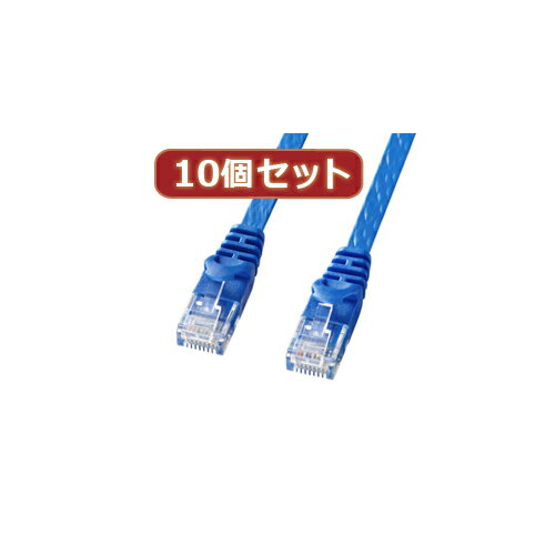 【10個セット】サンワサプライ カテゴリ6フラットLANケーブル LA-FL6-02BLX10(代引不可)【送料無料】