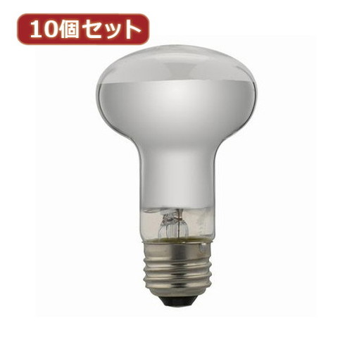 10個セット レフ形白熱ランプ RF100V90WX10 家電 照明器具 その他の照明器具(代引不可)