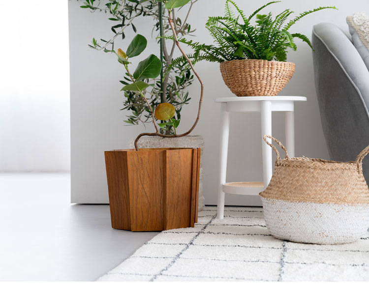 ���åɥץ�󥿡� S������ �ץ�󥿡� ���� ŷ���� �ߥ�ǥ� ����ʪ ���С� ���տ�ʪ���� ���� ����ƥꥢ ����ƥꥢ���� ���� ������� ����ץ� �����ǥ� ��ӥ� �����˥� ����(����Բ�)������̵����