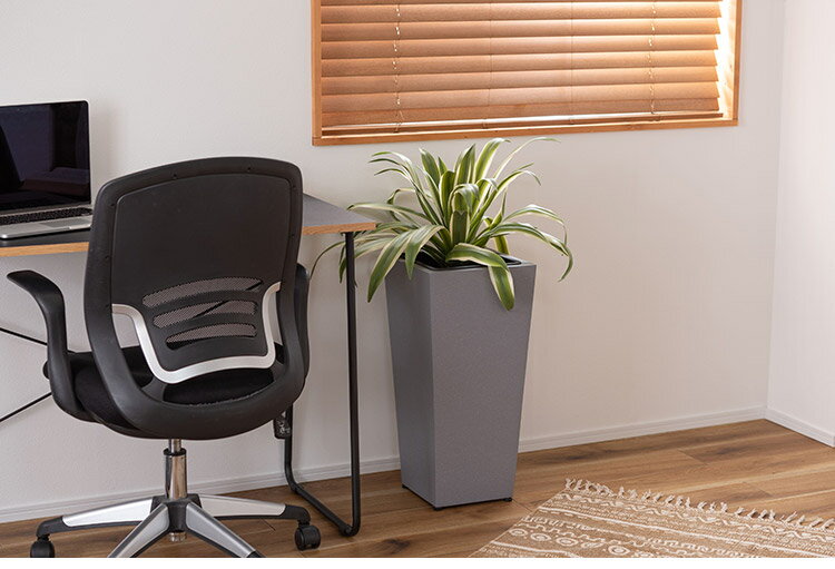 �ץ�󥿡��ϥ������� �ץ�󥿡� �ϥ������� ȭ���� ����� ��������ȥꥢ�� ����ץ� ���졼 ��ʪ ���տ�ʪ �����㥹�����դ� ����ƥꥢ(����Բ�)������̵����