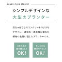rcmdse:16499926のサンプル画像2