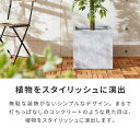rcmdse:16499926のサンプル画像3
