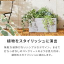 rcmdse:16734832のサンプル画像3