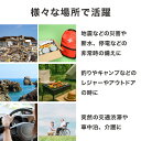 rcmdse:17128902のサンプル画像2
