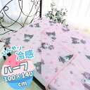 ■商品サイズ100×140cm■素材ポリエステル70％、ナイロン30％■生産国中国■特徴暑い夏を快適に過ごせる冷感寝具！丸洗いできるので、いつでも清潔！同じ柄の冷感敷きパッドもありますのでセットでのご使用がオススメです！(C)2024 SANRIO CO ., LTD. APPROVAL NO. L647364■備考洗濯可※商品により柄の出方は異なります※製品の仕様上、裏面の柄が少し透けます※ご使用のモニターによっては、商品画像等の画面表示上の色合いと、実際の商品の色が異なる場合があります。ご了承ください。【代引きについて】こちらの商品は、代引きでの出荷は受け付けておりません。【送料について】北海道、沖縄、離島は送料を頂きます。真夜中のメロクロ冷感敷きパッド/シングル冷感ケット/シングル冷感ケット/ハーフ