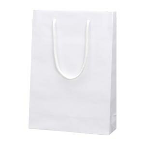 シモジマ ブライトバッグSWT シロ 1 枚 006138201 文房具 オフィス 用品