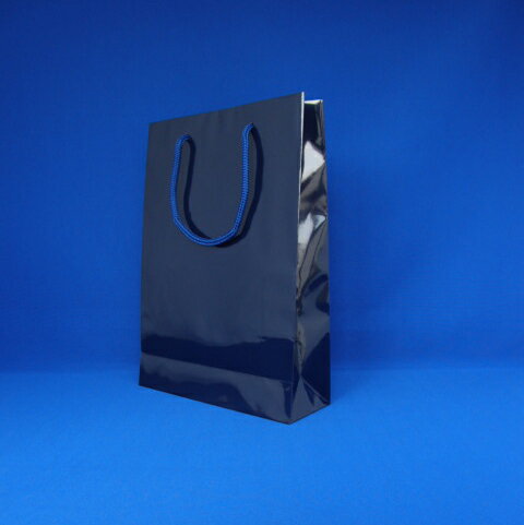 ⥸ ֥饤ȥХå  1  006138223 ʸ˼ ե 